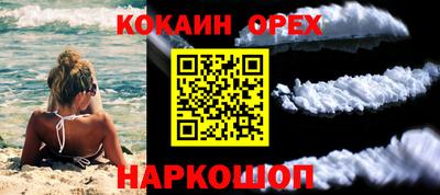 прущие грибы Конаково
