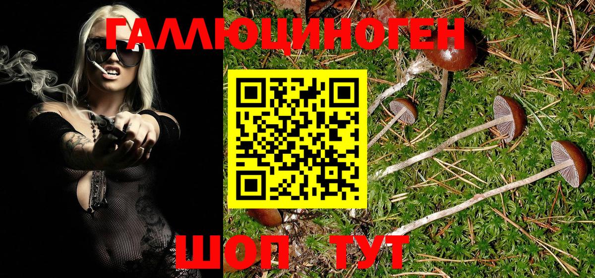 Коркино  Галлюциногенные грибы Psilocybine cubensis  Псилоцибиновые грибы Magic Shrooms  Вход с VPN 